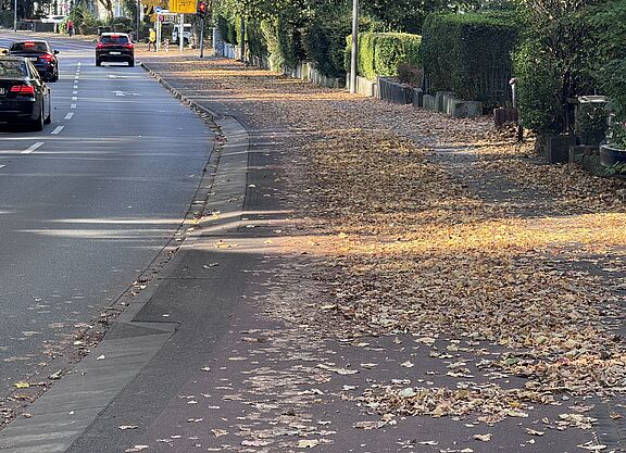 Von Laub gesäumte Ludwigsallee Radweg auf der Ludwigsallee, nur ein schmaler Streifen bleibt.