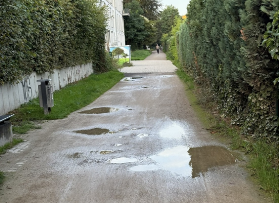 Rheinischer Esel in Annen
