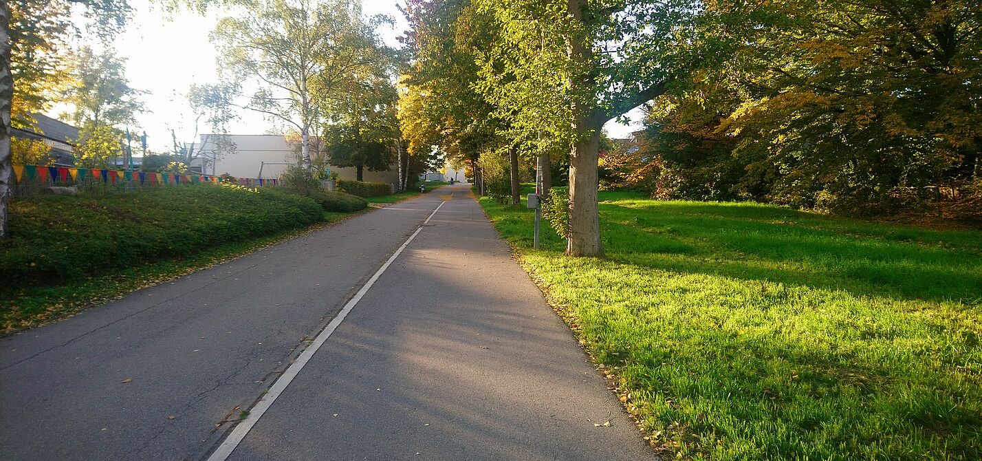 Radverkehrszähler am Hainbuchenweg Hainbuchenweg mit Radverkehrszähler rechts am Laternnmast