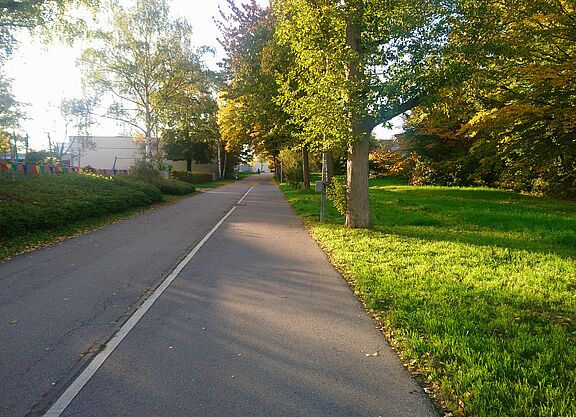 Hainbuchenweg mit Radverkehrszähler rechts am Laternnmast