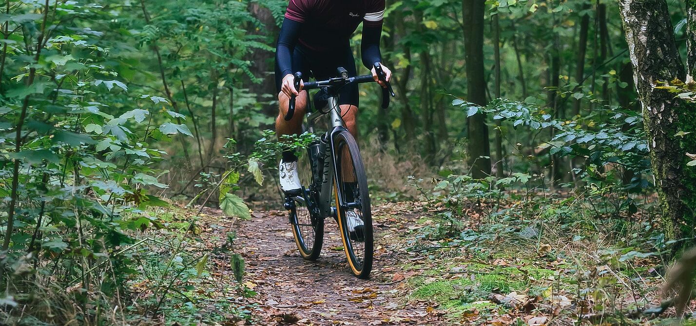 Ein Gravelbiker fährt auf einem schmalen Waldpfad.