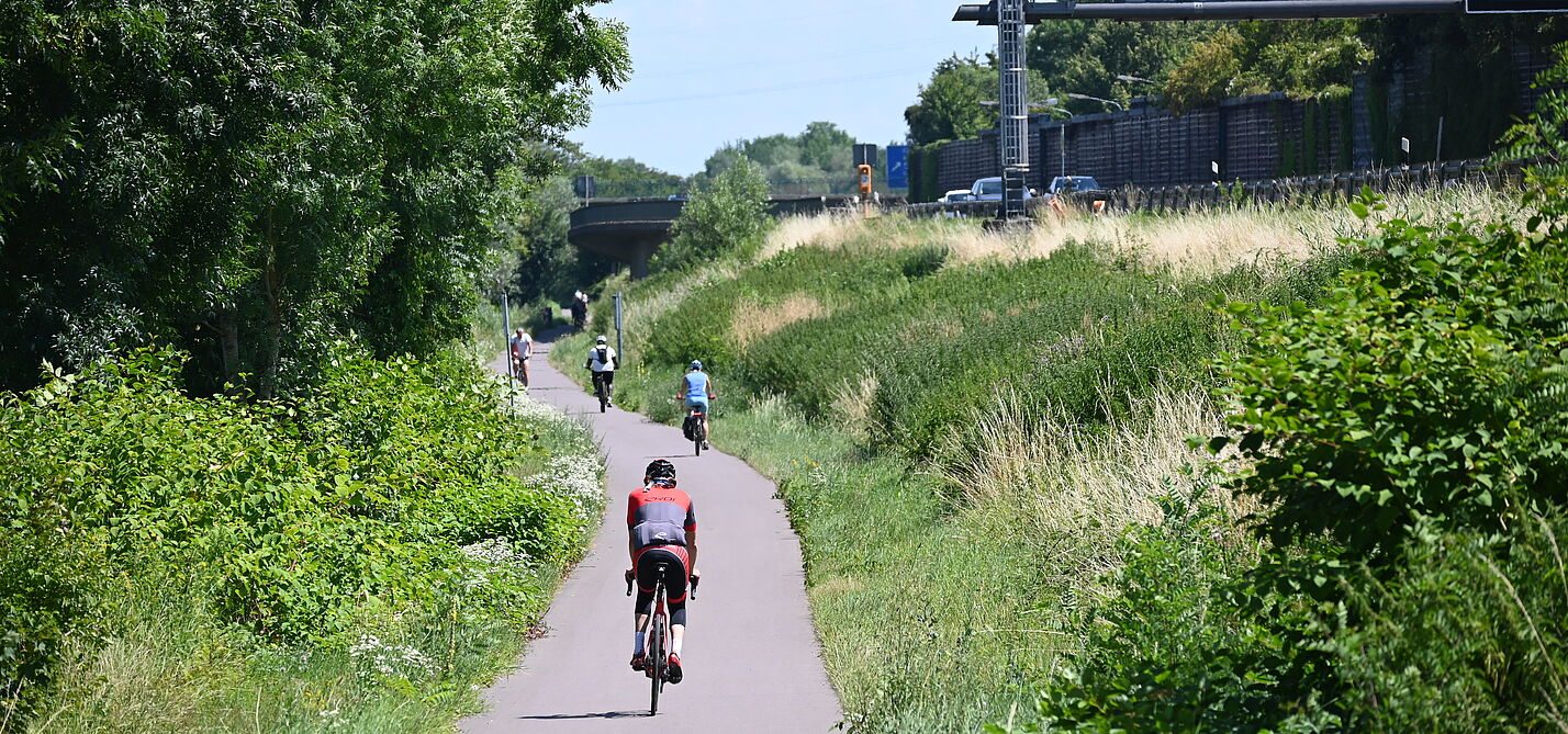 Saar-Radweg mit direkter Sonne