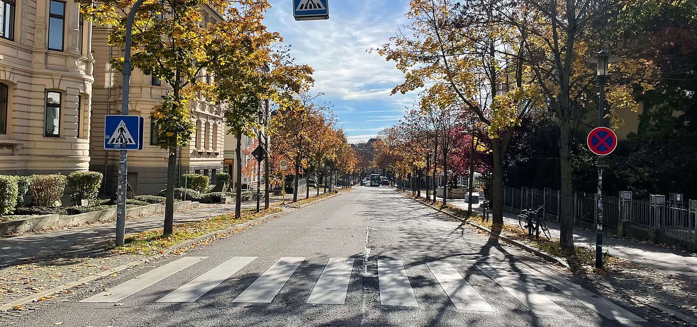 Herbstliche Straßenszene mit Zebrastreifen Herbstliche Straßenszene mit Zebrastreifen